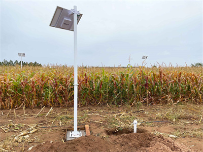 管式土壤墑情站